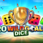 20 Wild Goals Dice Game