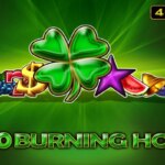40 Burning Hot Game