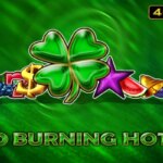 40 Burning Hot 6 Reels Game