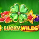 40 Lucky Wilds Hot Game