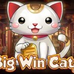 Big Win Cat Game