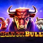 Black Bull Game