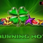 Burning Hot Game