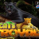 Cats Royal Game