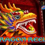 Dragon Reels Game