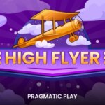 High Flyer Game