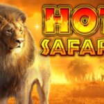 Hot Safari Game