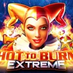 Hot to Burn Extreme Game
