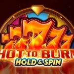 Hot to Burn Hold & Spin Game