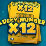 Lucky Numbers x12 Game