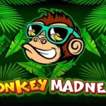 Monkey Madness Game
