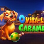 O Vira-lata Caramelo Game