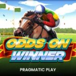 Odds On Winner Game