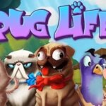 Pug Life Game