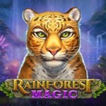 Rainforest Magic Game