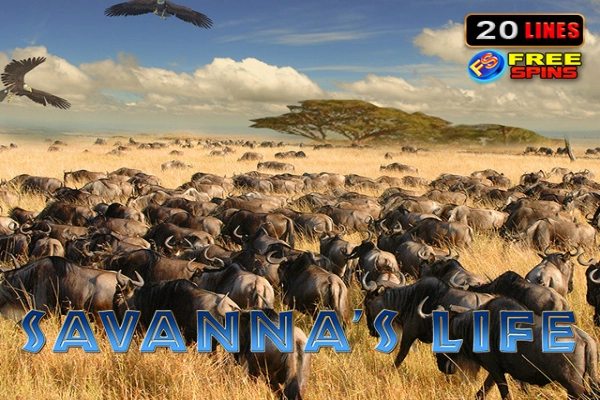 Savannas Life Game