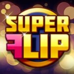 Super Flip Game