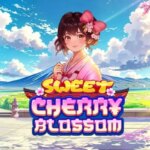 Sweet Cherry Blossom Game