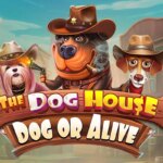 The Dog House - Dog or Alive Game
