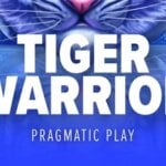 The Tiger Warrior Game