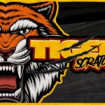 Tiger Scratch Game