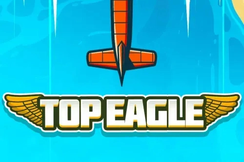 Top Eagle Game