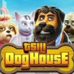 TSILI Dog House Game