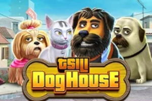 TSILI Dog House Game