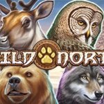 Wild North Game
