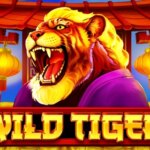 Wild Tiger Game