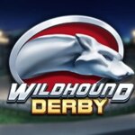 Wildhound Derby Game