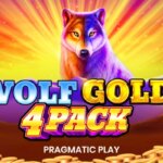 Wolf Gold 4 Pack Game