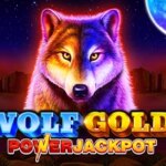 Wolf Gold Power Jackpot Game